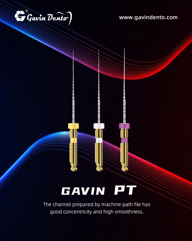 Gavin PT